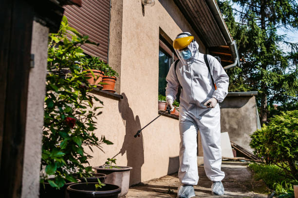 Best Wildlife Control Services  in Kinder, LA