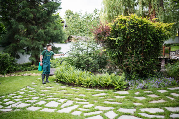 Best Wildlife Control Services  in Kinder, LA