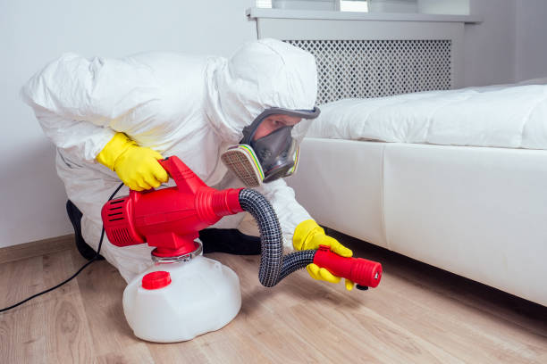 Best Pest Removal Services  in Kinder, LA