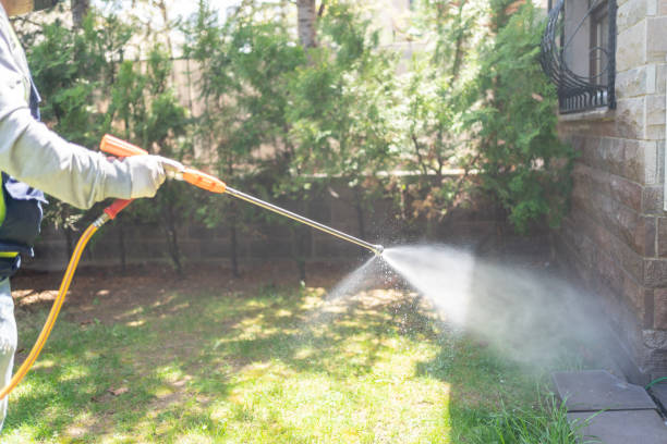 Best Emergency Pest Control  in Kinder, LA