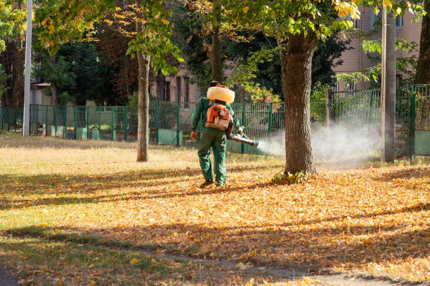 Best Local Pest Control Services  in Kinder, LA