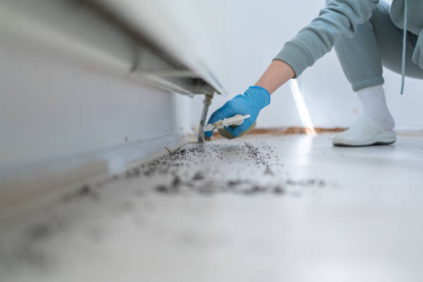 Best Pest Inspection Near Me  in Kinder, LA